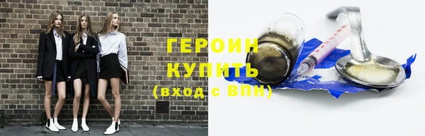 гидра Няндома